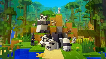 Image of Minecraft video game